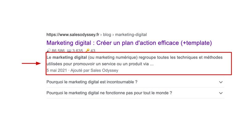 exemple meta description
